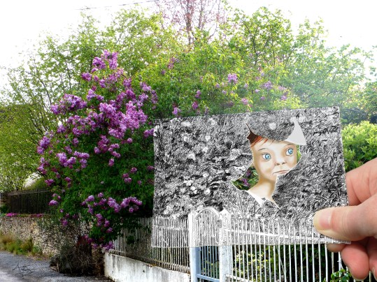 Le lilas de Zoé