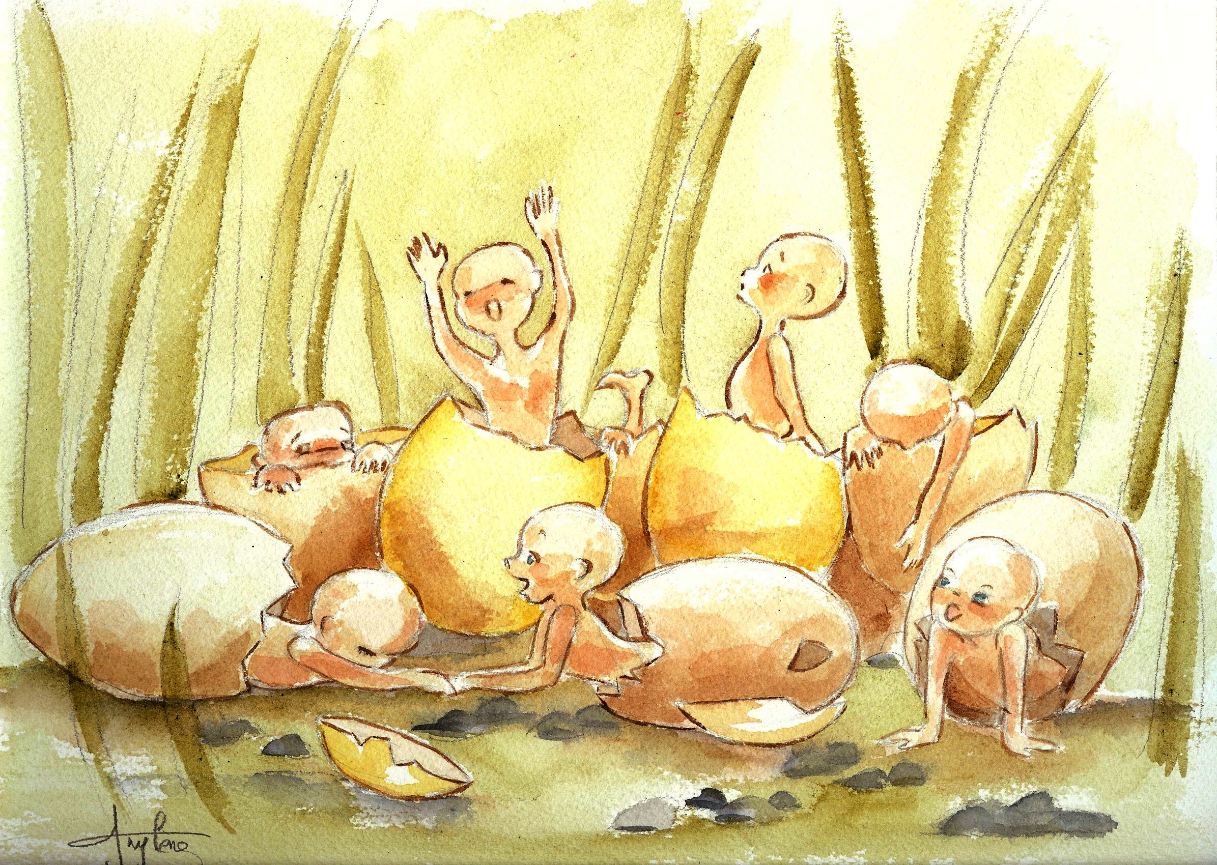 Les Oeufs d' Elfes