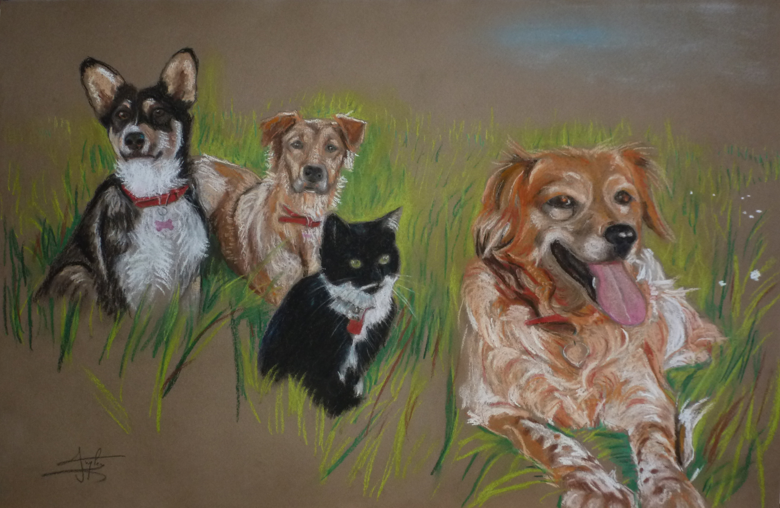Animaux