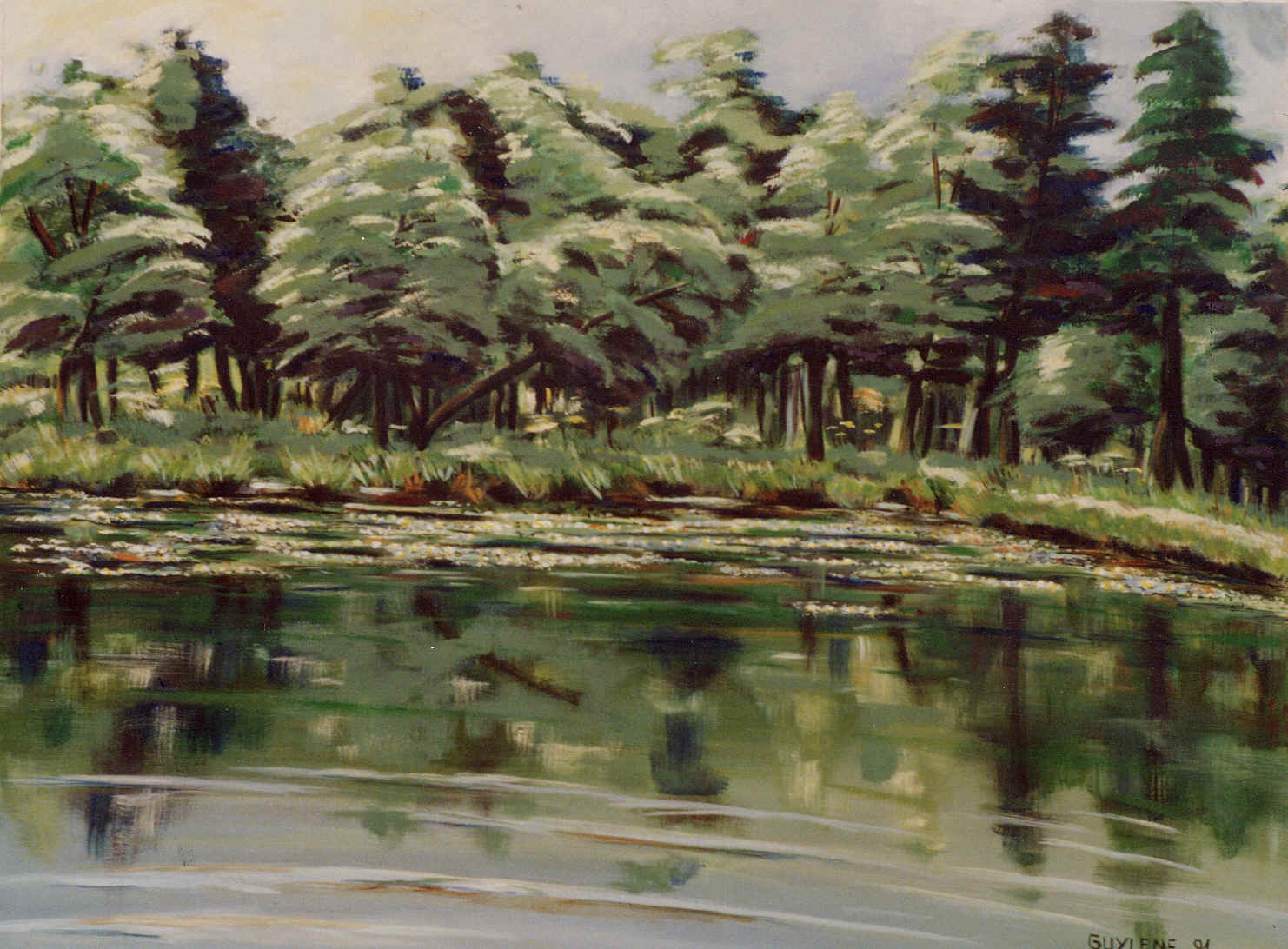 l'étang des laurieres