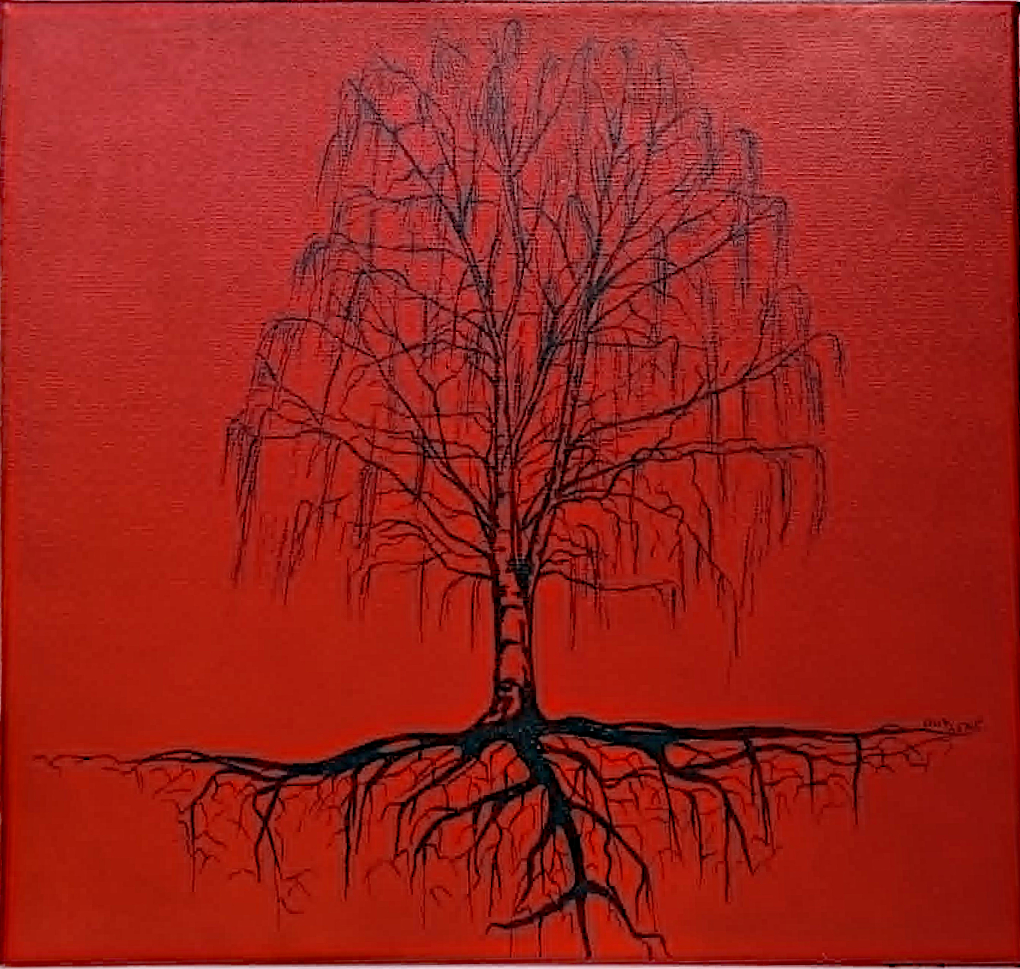 Le bouleau rouge