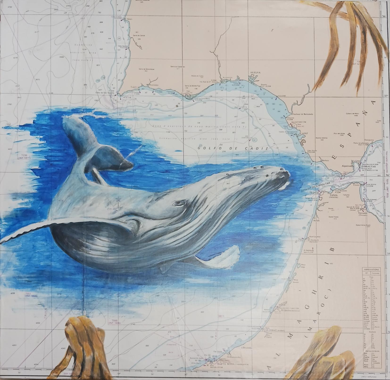 Baleine à bosse
